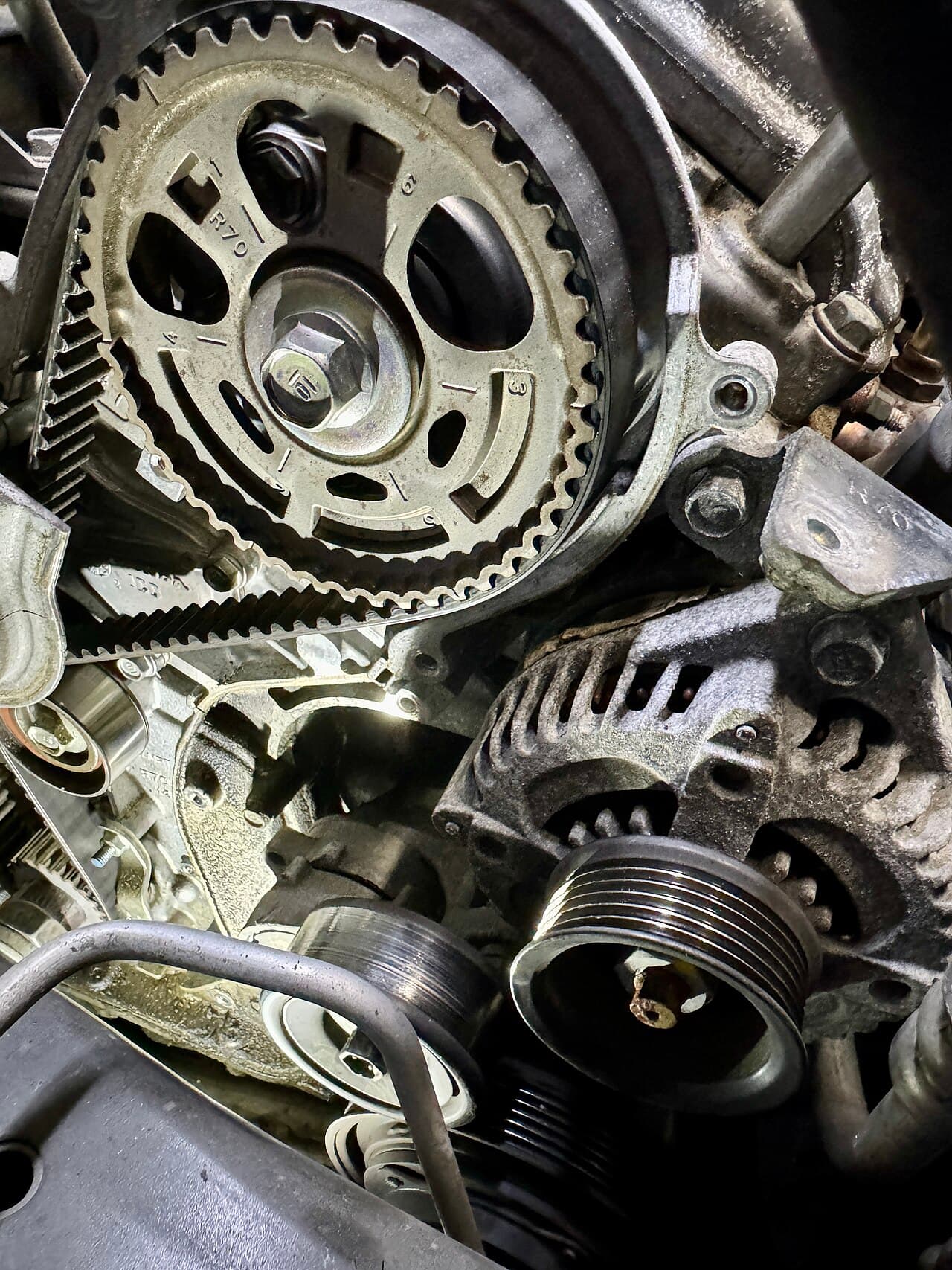 A toothed rubber timing belt, showing the moulded teeth that engage the camshaft and crankshaft pulleys